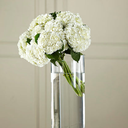 White Hydrangea Hand-Tied Bouquet – AMCS FLOWERS & PERSONAL SERVICES LLC, Chesapeake VA