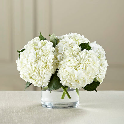 White Hydrangea Bouquet – AMCS FLOWERS & PERSONAL SERVICES LLC, Chesapeake VA