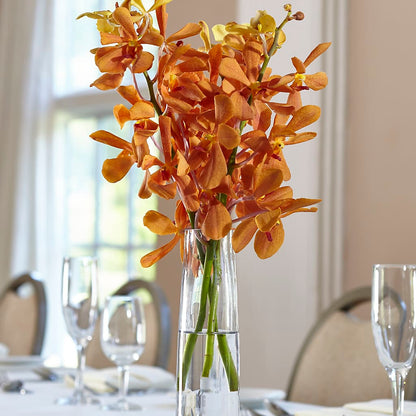 Orange Mokara Bud Vase – AMCS FLOWERS & PERSONAL SERVICES LLC, Chesapeake VA