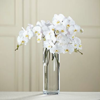 White Phalaenopsis Bouquet – AMCS FLOWERS & PERSONAL SERVICES LLC, Chesapeake VA